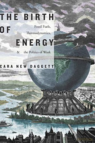The Birth of Energy: Fossil Fuels, Thermodynamics, and the Politics of Work (Elements) - Cara New Daggett [KSIĄŻKA]