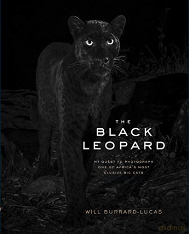 The Black Leopard: My Quest to Photograph One of Africa's Most Elusive Big Cats - Will Burrard-Lucas [KSIĄŻKA]