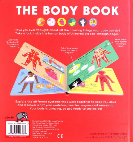 The Body Book: Look inside the human body with amazing SEE-THROUGH pages! - Hannah Alice [KSIĄŻKA]