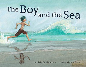 The Boy and the Sea - Camille Andros [KSIĄŻKA]