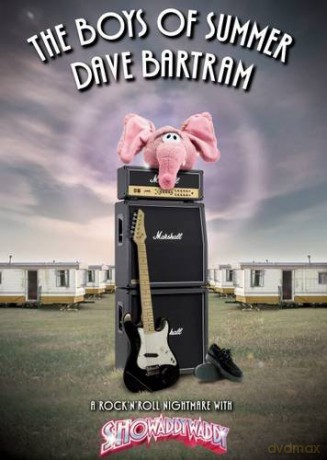 The Boys of Summer - Dave Bartram [KSIĄŻKA]