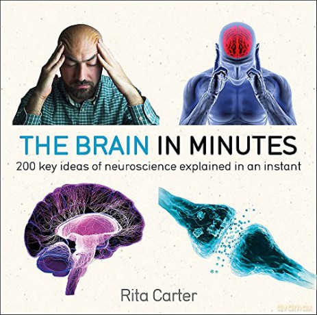 The Brain in Minutes: 200 Key Ideas of Neuroscience Explained in an Instant - Rita Carter [KSIĄŻKA]