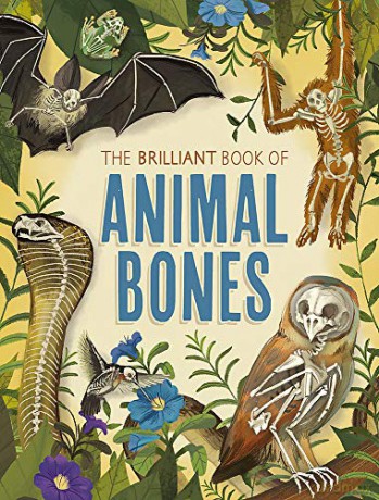 The Brilliant Book of Animal Bones - Anna Claybourne [KSIĄŻKA]