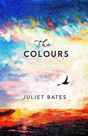 The Colours: a captivating, epic historical drama about family, love and loss - Juliet Bates [KSIĄŻKA]