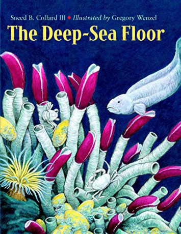 The Deep-Sea Floor - Sneed B. Collard III [KSIĄŻKA]