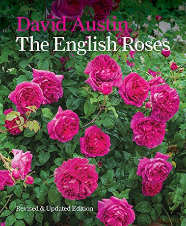 The English Roses - David Austin [KSIĄŻKA]