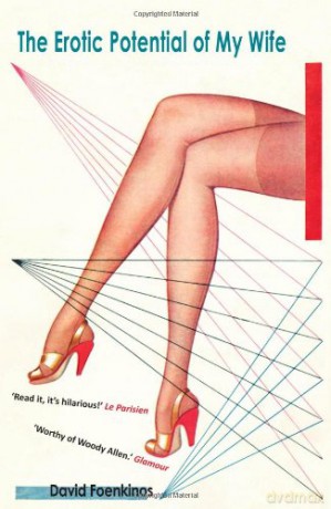 The Erotic Potential of My Wife - David Foenkinos [KSIĄŻKA]