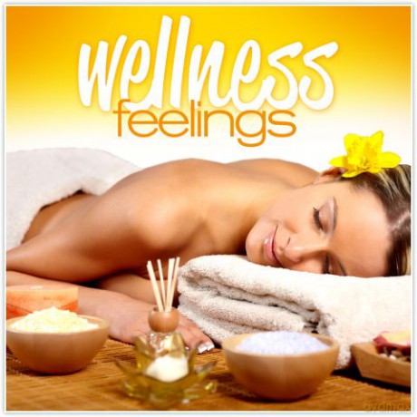 Wellness Feelings [2CD]