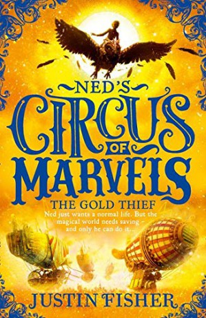 The Gold Thief: Book 2 (Ned's Circus of Marvels) - Justin Fisher [KSIĄŻKA]