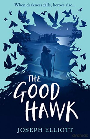 The Good Hawk (Shadow Skye, Book One) (Shadow Skye 1) - Joseph Elliott [KSIĄŻKA]
