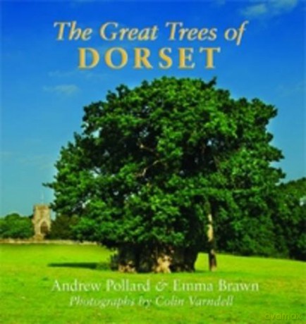 The Great Trees of Dorset - Andrew Pollard [KSIĄŻKA]