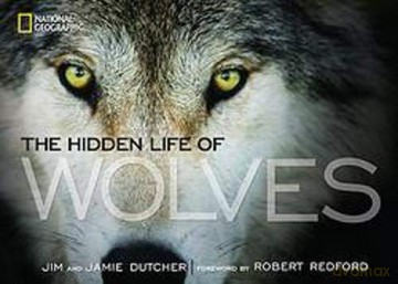 The Hidden Life of Wolves - Jim Dutcher [KSIĄŻKA]