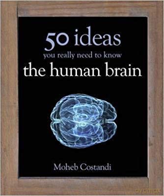 The Human Brain [KSIĄŻKA]