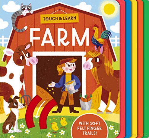 Touch and Learn Farm - Becky Davies [KSIĄŻKA]