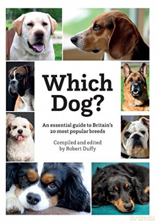 Which Dog - Robert Duffy [KSIĄŻKA]