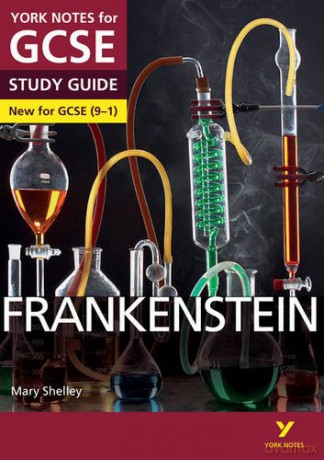 York Notes for GCSE (9-1): Frankenstein STUDY GUIDE - Everything you need to catch up, study and prepare for 2021 assessments and 2022 exams - Alexander Fairbairn-Dixon [KSIĄŻKA]
