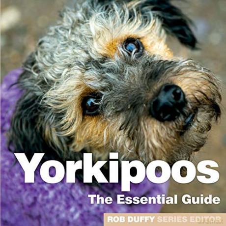 Yorkipoos: The Essential Guide - Robert r Duffy [KSIĄŻKA]