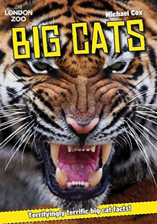 ZSL Big Cats - Michael Cox [KSIĄŻKA]
