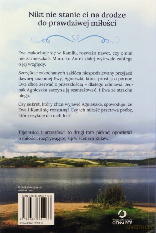 Tajemnica z przeszłości - Sylwia Kubik [KSIĄŻKA]