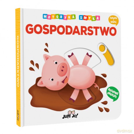 Gospodarstwo. Motoryka Smyka [KSIĄŻKA]