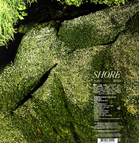 Fleet Foxes: Shore [2xWinyl]