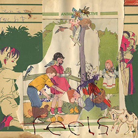 Animal Collective: Feels [2xWinyl]