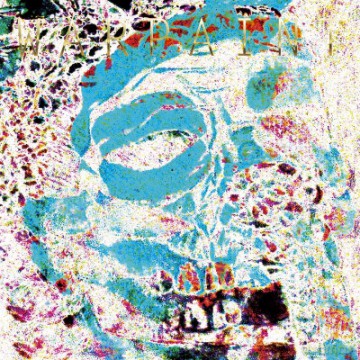 Warpaint: The Fool (Limited) (RSD) [Winyl]