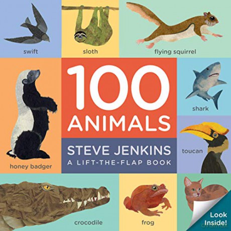 100 Animals (lift-the-flap padded board book) - Steve Jenkins [KSIĄŻKA]