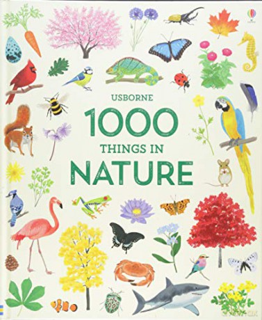 1000 Things in Nature (1000 Pictures) - Hannah Watson [KSIĄŻKA]