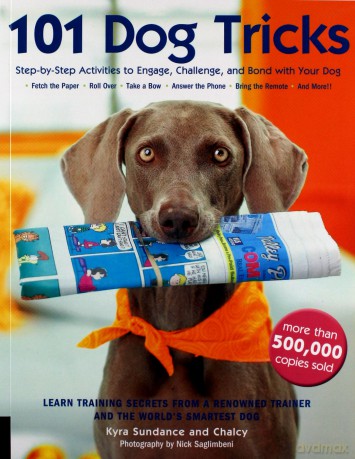 101 Dog Tricks: Step by Step Activities to Engage, Challenge, and Bond with Your Dog (Dog Tricks and Training) - Kyra Sundance [KSIĄŻKA]