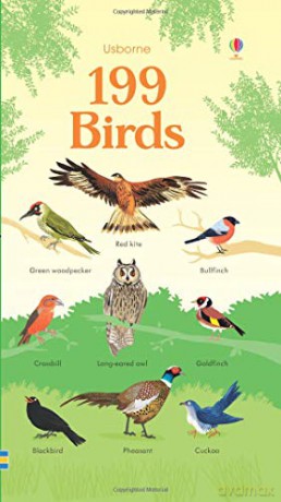 199 Birds (199 Pictures) - Hannah Watson [KSIĄŻKA]