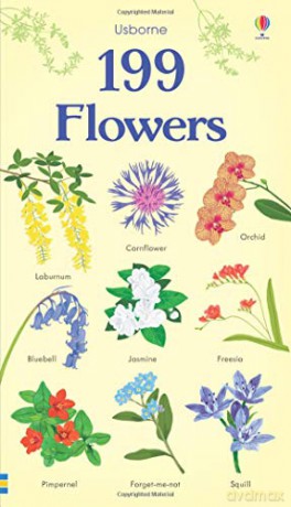 199 Flowers (199 Pictures) - Hannah Watson [KSIĄŻKA]