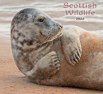 2022 Scottish Wildlife - Scotland Calendar - Colin Baxter [KALENDARZ]