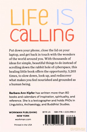 5,203 Things to Do Instead of Looking at Your Phone - Ann, Barbara Kipfer [KSIĄŻKA]