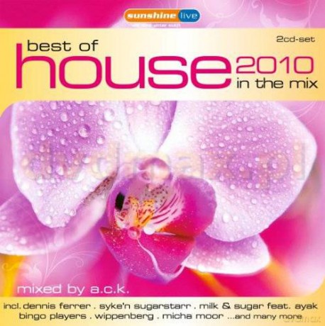 Best Of House 2010 In The Mix [2CD]
