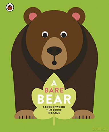 A Bare Bear: A book of words that sound the same (Here Design) [KSIĄŻKA]
