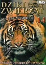 Dziki Świat Zwierząt 14: Tygrys - Zwinność i Powaga (BBC) [DVD]