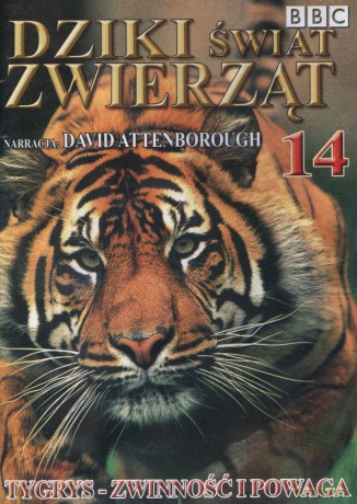 Dziki Świat Zwierząt 14: Tygrys - Zwinność i Powaga (BBC) [DVD]