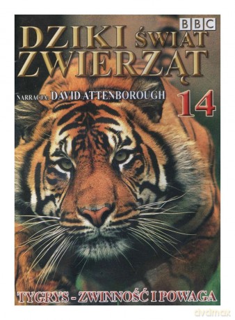 Dziki Świat Zwierząt 14: Tygrys - Zwinność i Powaga (BBC) [DVD]