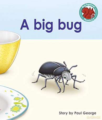 A big bug (Red Squirrel Phonics Level 2) - Paul George [KSIĄŻKA]