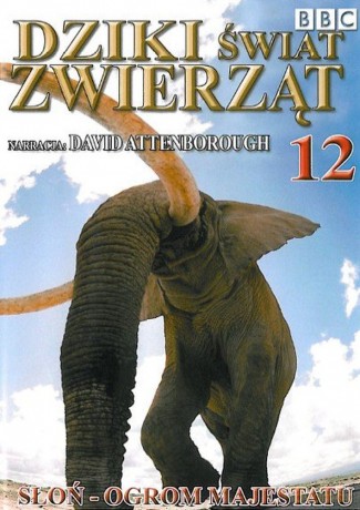 Dziki Świat Zwierząt 12: Słoń - Ogrom Majestatu (BBC) [DVD]