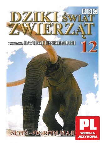 Dziki Świat Zwierząt 12: Słoń - Ogrom Majestatu (BBC) [DVD]