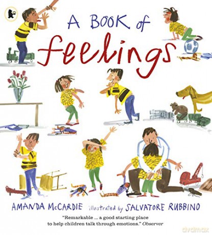 A Book of Feelings: 1 - Amanda McCardie [KSIĄŻKA]