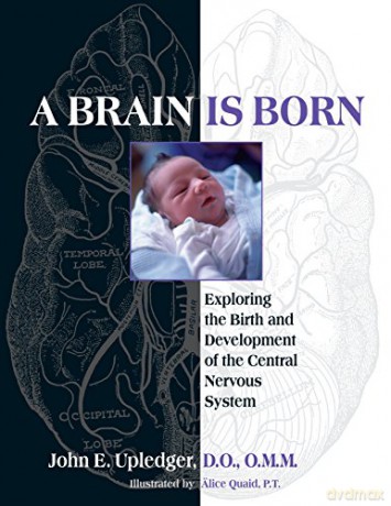 A Brain Is Born: Exploring the Birth and Development of the Central Nervous System - John E. Upledger [KSIĄŻKA]