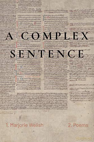 A Complex Sentence - Marjorie Welish [KSIĄŻKA]