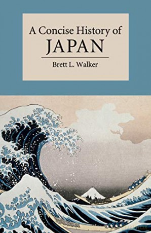 A Concise History of Japan (Cambridge Concise Histories) - Brett L. Walker [KSIĄŻKA]