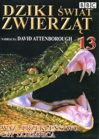 Dziki Świat Zwierząt 13: Wąż - Przekleństwo Czy Tajemnica (BBC) [DVD]