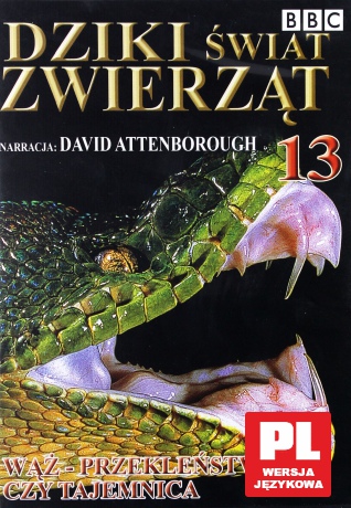 Dziki Świat Zwierząt 13: Wąż - Przekleństwo Czy Tajemnica (BBC) [DVD]