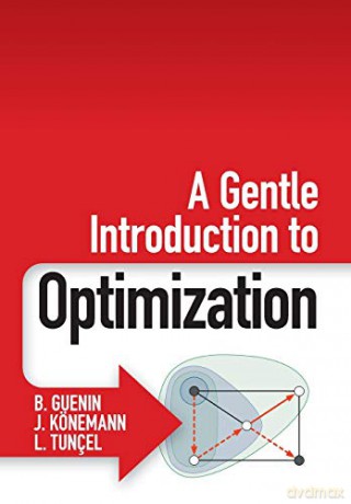 A Gentle Introduction to Optimization - B Guenin [KSIĄŻKA]