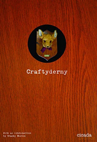 A Little Book of Craftivism - Sarah Corbett [KSIĄŻKA]